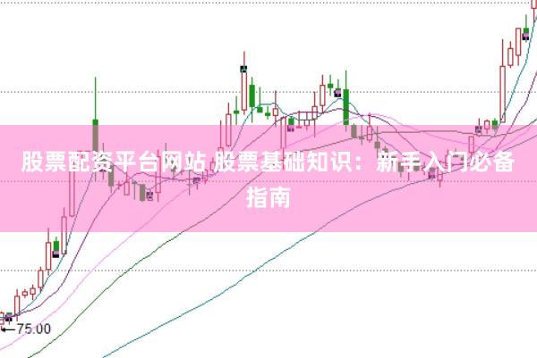 股票配资平台网站 股票基础知识：新手入门必备指南