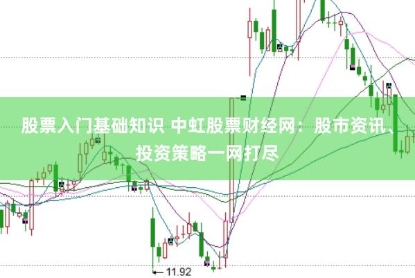 股票入门基础知识 中虹股票财经网：股市资讯、投资策略一网打尽