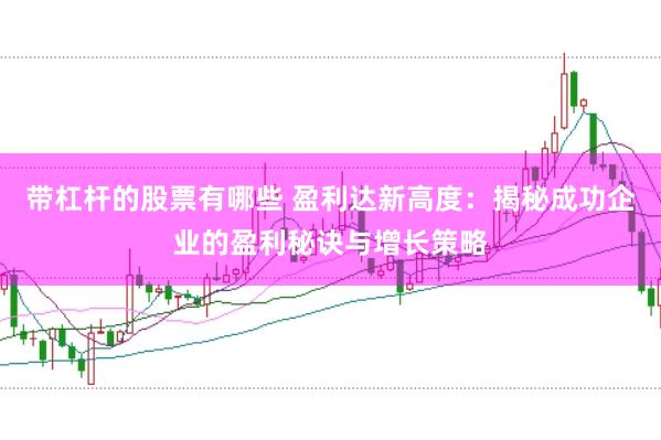 带杠杆的股票有哪些 盈利达新高度：揭秘成功企业的盈利秘诀与增长策略