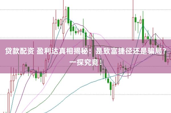 贷款配资 盈利达真相揭秘：是致富捷径还是骗局？一探究竟！