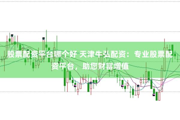股票配资平台哪个好 天津牛弘配资：专业股票配资平台，助您财富增值